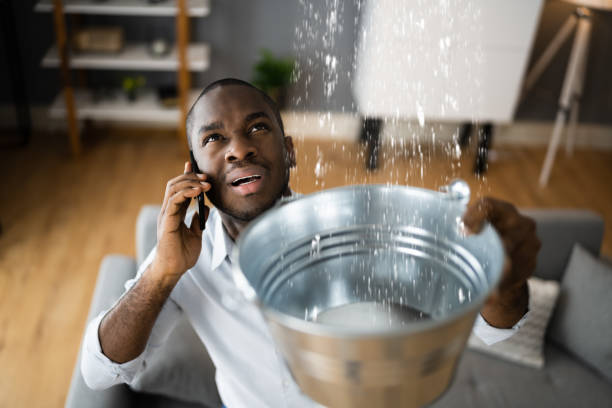  Dobson, NC Water damage restoration Pros