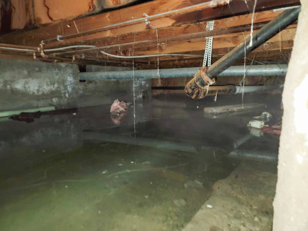 Best Flooded house restoration  in Dobson, NC