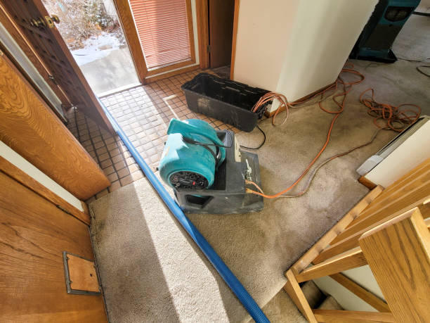 Best Water damage cleanup near me  in Dobson, NC