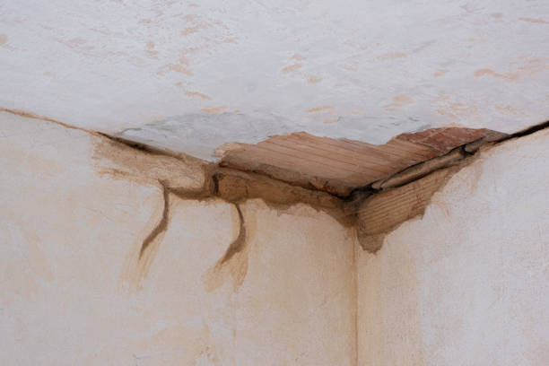 Best Water damage contractors near me  in Dobson, NC