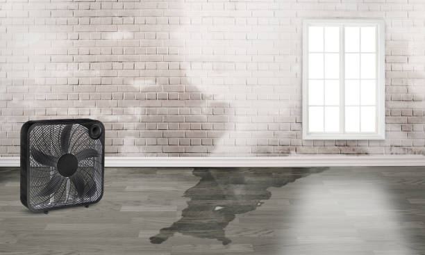 Carpet water damage restoration in NC