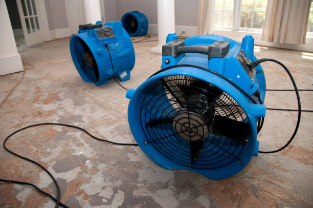 Best Fire Damage Restoration  in Dobson, NC