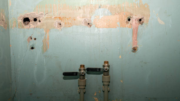 Best Water damage restoration near me  in Dobson, NC