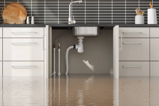 Best Water damage restoration near me  in Dobson, NC