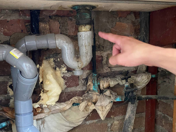 Best Water damage mitigation services  in Dobson, NC