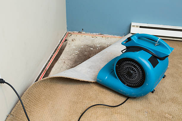 Best 24-hour water damage restoration  in Dobson, NC